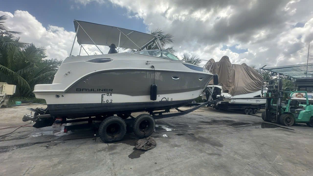 Bayliner 255 - ảnh 2
