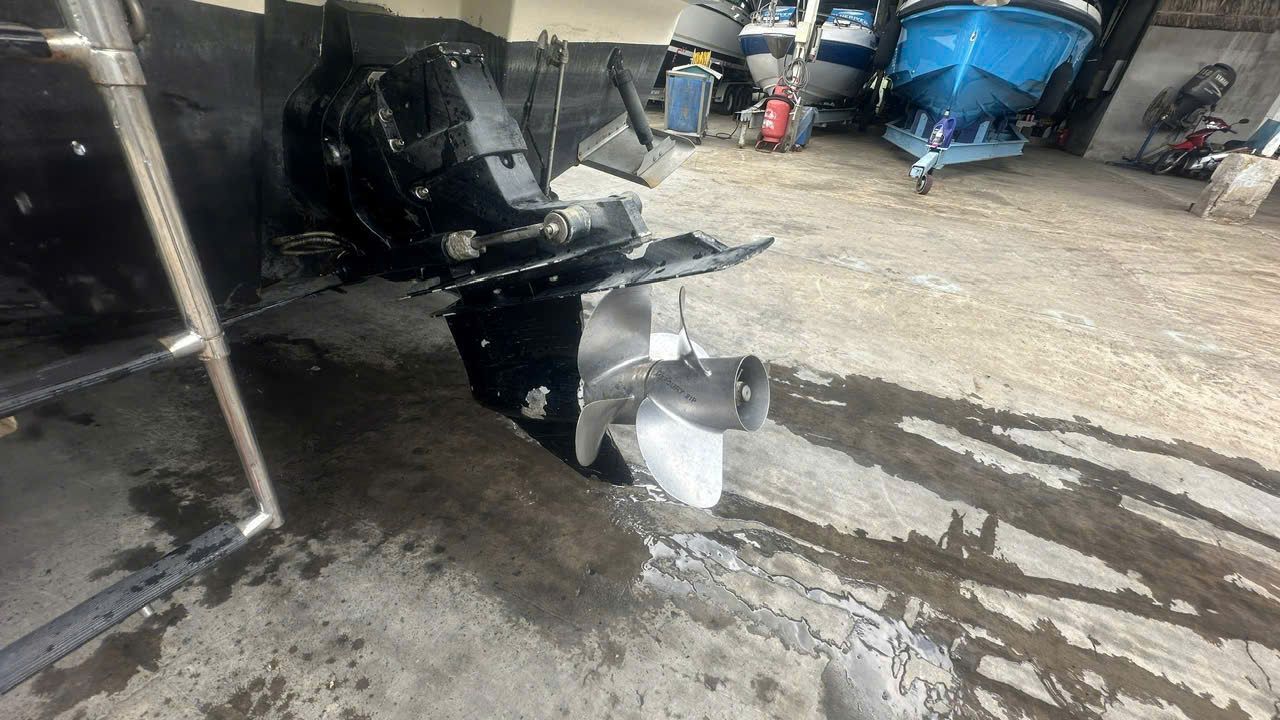 Bayliner 255 - ảnh 3