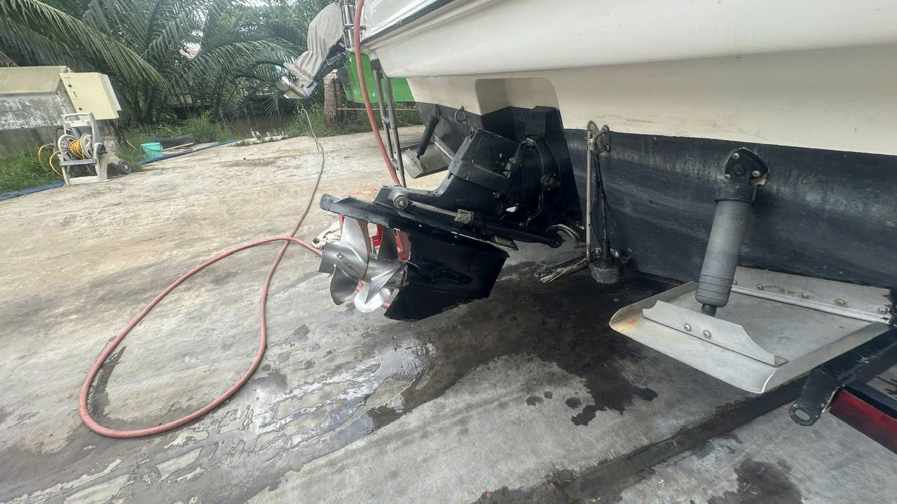 Bayliner 255 - ảnh 4
